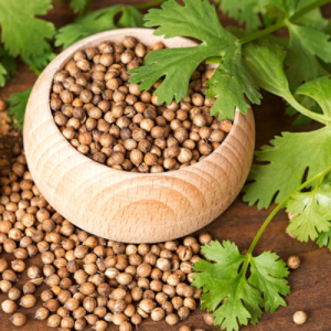 تخم گشنیز